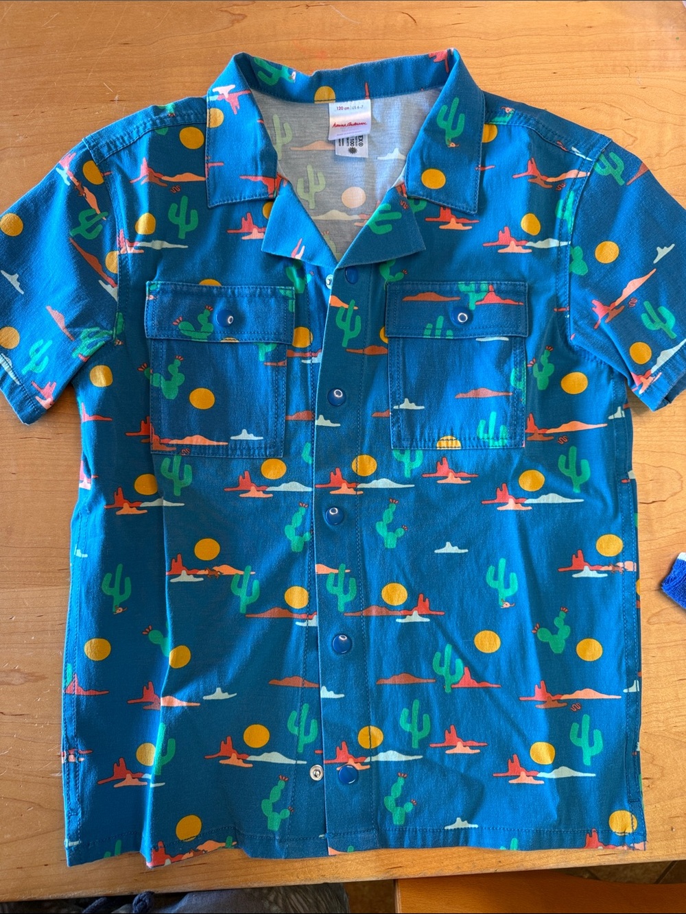 Hanna Andersson Teal Blue Desert Print Short-Sleeve Button-Down